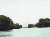 Scan20025.JPG