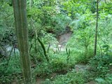 19_Natuurschoon in de Sierra Madre jungle.jpg