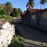 DSC 0187